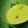 bancho1208's cooksnap of when they made 茶碗蒸し.