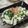 saki1010's cooksnap of when they made 塩麹さんで山芋とねぎの炒め物.