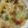 ミセスおおから's cooksnap of when they made 長ネギ消費・お手軽シーフードグラタン.