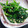 キャシーキャサリン's cooksnap of when they made いつもの胡麻和えがまろやかに！.
