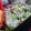 キャシーキャサリン's cooksnap of when they made いつものｻﾗﾀﾞに+青海苔.
