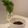 れな犬's cooksnap of when they made 大葉味噌.