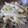 こずっぺ's cooksnap of when they made もやしとちくわのごまマヨ和え.