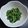 こくぼっち's cooksnap of when they made 小松菜のじゃこ炒め.
