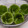 satomio528's cooksnap of when they made ピーマンの簡単な種部分の取り方.