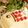 Tomron's cooksnap of when they made こどもの日に♪鯉のぼりケーキ.