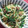 羽尼うに's cooksnap of when they made もやしとニラのスタミナ炒め.