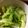 mydogkohaku's cooksnap of when they made 春キャベツのナムル.
