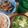 a_cossa's cooksnap of when they made ピリッとさっぱり、しこいわしのあんかけ.