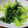 まさたかまま's cooksnap of when they made 青梗菜のニンニク炒め☆簡単にもう一品.