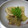 kiyoりん's cooksnap of when they made たけのこの煮物.