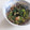 きらり流れ星's cooksnap of when they made しょうゆ麹で♡ほうれん草のおかか和え.