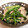 はぁこママ's cooksnap of when they made 簡単ウマイ★行者にんにくと豚バラ炒め.