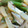 熊人すみこ's cooksnap of when they made じゃが芋と椎茸のきんぴら.
