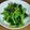チビユキママ's cooksnap of when they made 小松naムル.