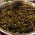 セレビアンコ's cooksnap of when they made わらびの茹で方（私流）.