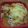 １１０７かず's cooksnap of when they made ルクエで野菜いっぱいキムチーズ.