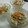 コンフリー's cooksnap of when they made 簡単！新タマネギの和風サラダ.