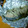☆結★'s cooksnap of when they made 簡単＊きのこと鮭のホイル焼き☆.