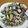かづき★'s cooksnap of when they made あさりと舞茸の酒蒸し.