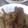 辛味大好's cooksnap of when they made ふきと豚肉の炒め煮.