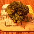 れなぼうず's cooksnap of when they made お弁当にマヨの忍ばせ方法♪.