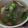 チルコ's cooksnap of when they made 梅干しとオクラの中華スープ.