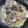 mocoにゃ♪'s cooksnap of when they made 感激の、焼きはまぐり.
