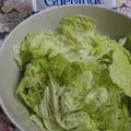 TeSage's cooksnap of when they made 簡単★春キャベツのナムル風サラダ.