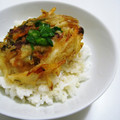 ラッチーU^ｪ^U's cooksnap of when they made かき揚げ丼.