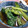 りく倶楽部's cooksnap of when they made 小松菜の煮浸し。.