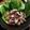 mugi66's cooksnap of when they made 短時間でおつまみ♪鶏軟骨の唐揚げ.