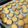 yoyomari's cooksnap of when they made 簡単おいしい♪サクサクおからクッキー.