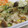 ＊まめゴマ＊'s cooksnap of when they made きのこのガーリックマヨチーズ炒め.