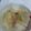 こんあや・Ｕ・'s cooksnap of when they made 白菜と鮭のクリーム煮.