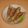 aster173's cooksnap of when they made 豚ロースでクルクル巻き～チーズキャベツ.