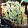 yobibaa's cooksnap of when they made こごみのマヨネーズ和え.
