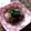 おはようMarb♡'s cooksnap of when they made 超簡単・かぶの葉のピリ辛漬け.