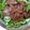 efuko♪'s cooksnap of when they made 焼肉サラダ.