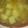 ショコラックマ's cooksnap of when they made 新玉ねぎと新じゃがのスープ.