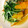 sakiko526's cooksnap of when they made ☆ささっと簡単☆水菜のおひたし.