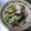 kiyoりん's cooksnap of when they made 塩麹でタコときゅうりの和え物.