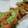 littlelily2007's cooksnap of when they made そら豆と桜エビのかき揚げ.