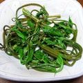 ポキコちゃん's cooksnap of when they made 山菜☆コシアブラのにんにくバター炒め.