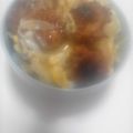 Ｊ‐ＣＬ's cooksnap of when they made お麩で作るヘルシーカツ丼！.