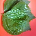 ぱのらま's cooksnap of when they made 大葉（しその葉）の保存方法♪.