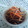 dannyact's cooksnap of when they made 全部2で作るうちのきんぴらごぼう.