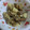 Andy♪'s cooksnap of when they made 牛肉とごぼうの卵炒め.