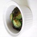 うにぃ☆'s cooksnap of when they made 甘くて美味しい☆酢の物　もずく＆きゅうり.
