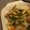 ことへー's cooksnap of when they made ☆豚こま肉で！美味しい青椒肉絲☆.